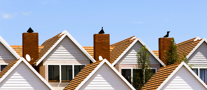 Roof top view